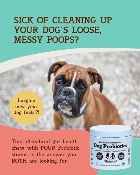 A 4:5 vertical ad featuring a sympathetic dog portrait paired with a direct, pain-point-led headline and a clear product solution.